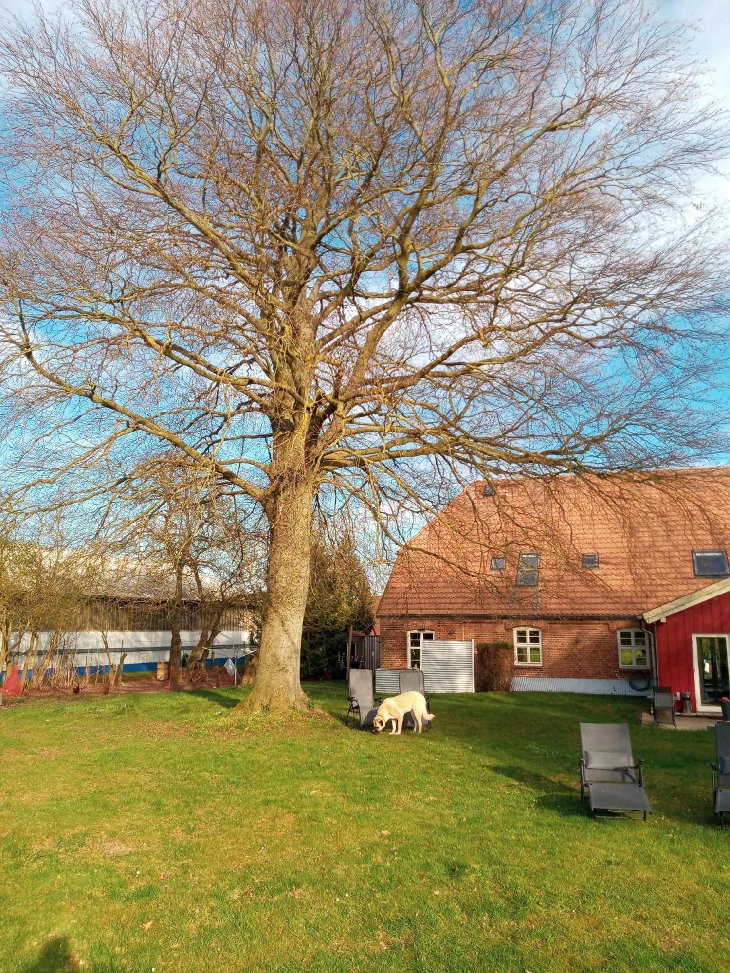 Hotelpension Pfarrhaus Alt Schwerin Exteriér fotografie